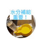 ハピハピかぞく（個別スタンプ：18）