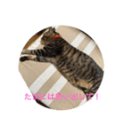 ハピハピかぞく（個別スタンプ：19）