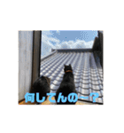 ハピハピかぞく（個別スタンプ：25）