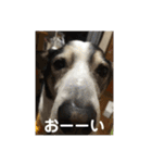 ハピハピかぞく（個別スタンプ：28）