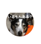 ハピハピかぞく（個別スタンプ：36）
