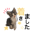まゆ毛ネコのきな子（個別スタンプ：14）