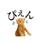 ゆずとらの日常（個別スタンプ：9）