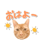 ゆずとらの日常（個別スタンプ：18）
