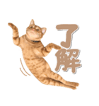 ゆずとらの日常（個別スタンプ：22）