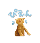ゆずとらの日常（個別スタンプ：24）