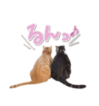ゆずとらの日常（個別スタンプ：26）