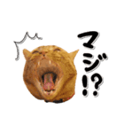 ゆずとらの日常（個別スタンプ：28）