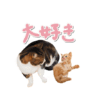ゆずとらの日常（個別スタンプ：32）