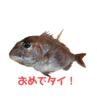 魚三昧ver9（個別スタンプ：7）