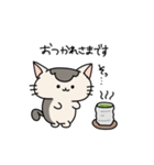 ねこのシンバ（個別スタンプ：11）