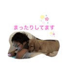 にぃな＆ハムコレクション（個別スタンプ：5）