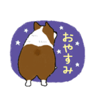 コーギー犬のロンくん-renew（個別スタンプ：4）