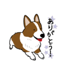 コーギー犬のロンくん-renew（個別スタンプ：8）