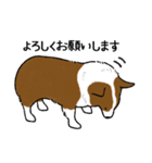 コーギー犬のロンくん-renew（個別スタンプ：10）