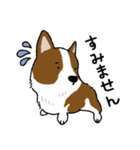 コーギー犬のロンくん-renew（個別スタンプ：15）