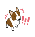 コーギー犬のロンくん-renew（個別スタンプ：27）