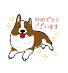 コーギー犬のロンくん-renew（個別スタンプ：39）