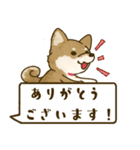 [毎日使える]柴犬むぎスタンプ（個別スタンプ：2）