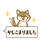 [毎日使える]柴犬むぎスタンプ（個別スタンプ：12）