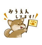 [毎日使える]柴犬むぎスタンプ（個別スタンプ：26）