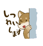 [毎日使える]柴犬むぎスタンプ（個別スタンプ：31）