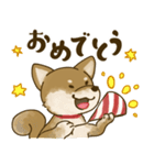 [毎日使える]柴犬むぎスタンプ（個別スタンプ：32）