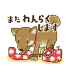 [毎日使える]柴犬むぎスタンプ（個別スタンプ：38）