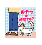 ちわちわひま（個別スタンプ：26）