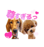 MESYS 2021（個別スタンプ：14）
