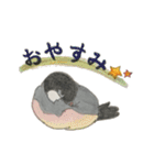 ＊テンパリ文鳥の日常＊（個別スタンプ：5）