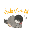 ＊テンパリ文鳥の日常＊（個別スタンプ：21）