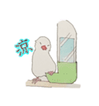 ＊テンパリ文鳥の日常＊（個別スタンプ：23）