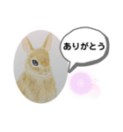 うさぎの絵（個別スタンプ：1）