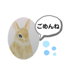うさぎの絵（個別スタンプ：2）