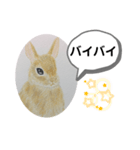 うさぎの絵（個別スタンプ：3）