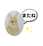 うさぎの絵（個別スタンプ：4）
