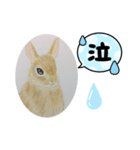 うさぎの絵（個別スタンプ：7）