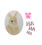 うさぎの絵（個別スタンプ：8）