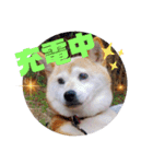 みんなと一緒 5（個別スタンプ：2）