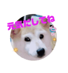 みんなと一緒 5（個別スタンプ：6）