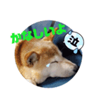 みんなと一緒 5（個別スタンプ：14）
