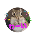 みんなと一緒 5（個別スタンプ：16）