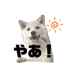 ろくもねスタンプSUMMER（個別スタンプ：1）