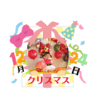 カーリーはち子SMiLE★（個別スタンプ：33）