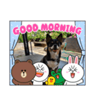 Abby's stickers 2 ツンデレ犬チワワのAbby（個別スタンプ：1）