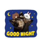 Abby's stickers 2 ツンデレ犬チワワのAbby（個別スタンプ：6）