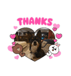 Abby's stickers 2 ツンデレ犬チワワのAbby（個別スタンプ：17）