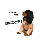 ずずずんだもち（個別スタンプ：2）