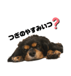 ずずずんだもち（個別スタンプ：16）